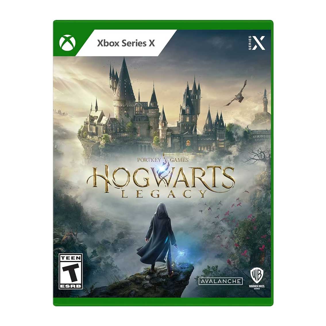 81Dbu1lJJ1L._AC_UF10001000_QL80_-1.jpg بازی Hogwarts Legacy برای Xbox Series X - Image 1