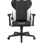 صندلی گیمینگ DxRacer Prince P132 2025 Black White - Image 6